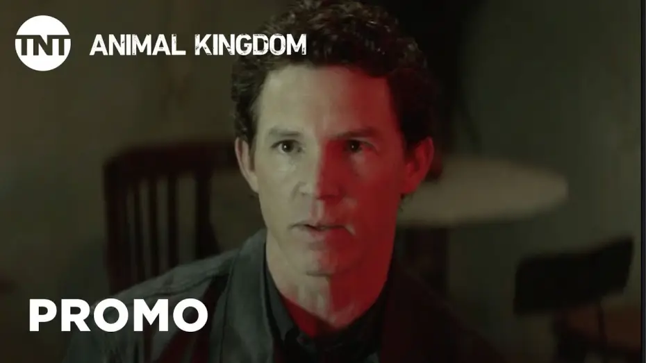 Видео к сериалу По волчьим законам — Animal Kingdom: Danger - Season 3 Premieres May 29 [PROMO] | TNT