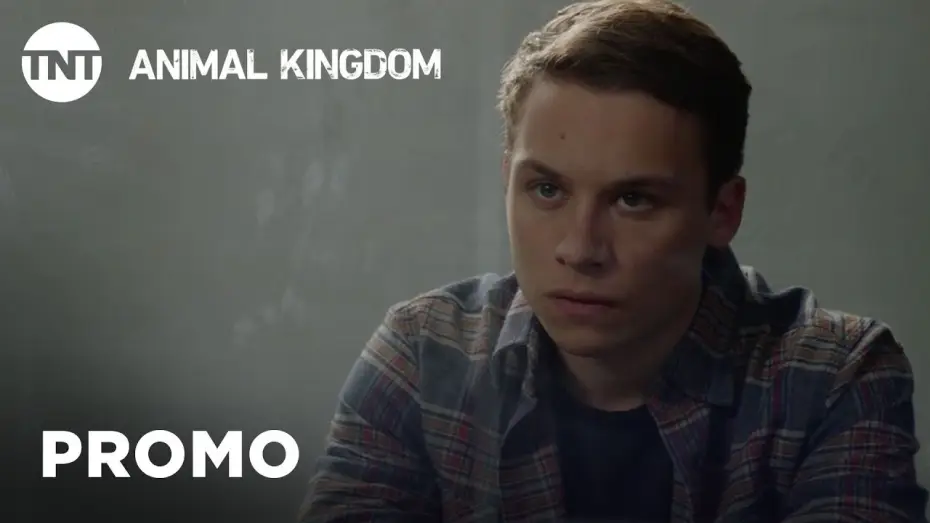 Видео к сериалу По волчьим законам — Animal Kingdom: Shock - Season 3 Premieres This Summer [PROMO] | TNT
