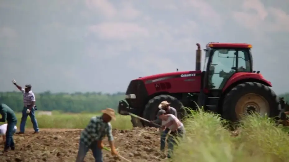 Видео к сериалу Королева сахарных плантаций — Queen Sugar on OWN Premieres September 7th