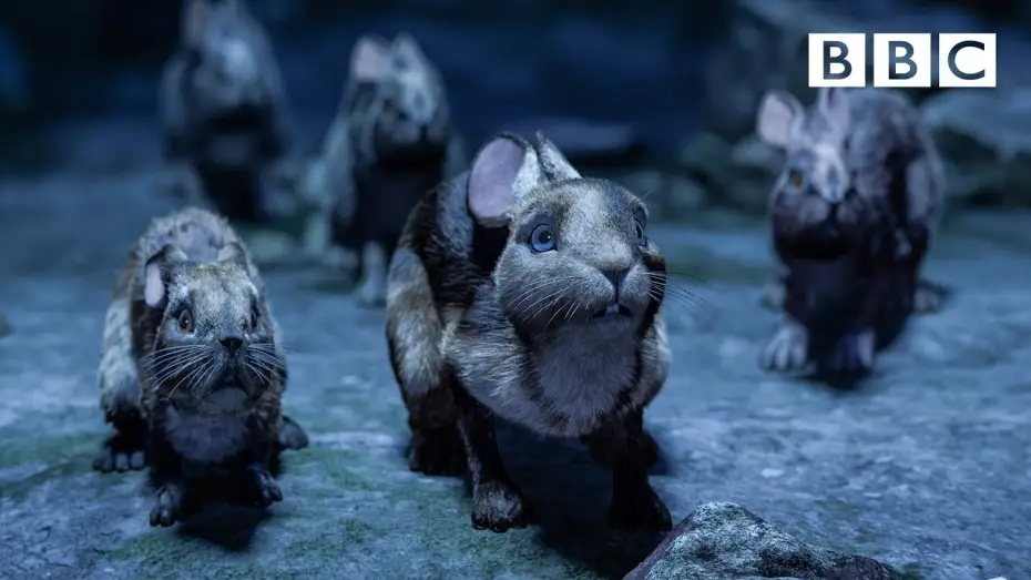 Видео к сериалу Обитатели холмов — Watership Down's brave rabbits make a daring escape - BBC
