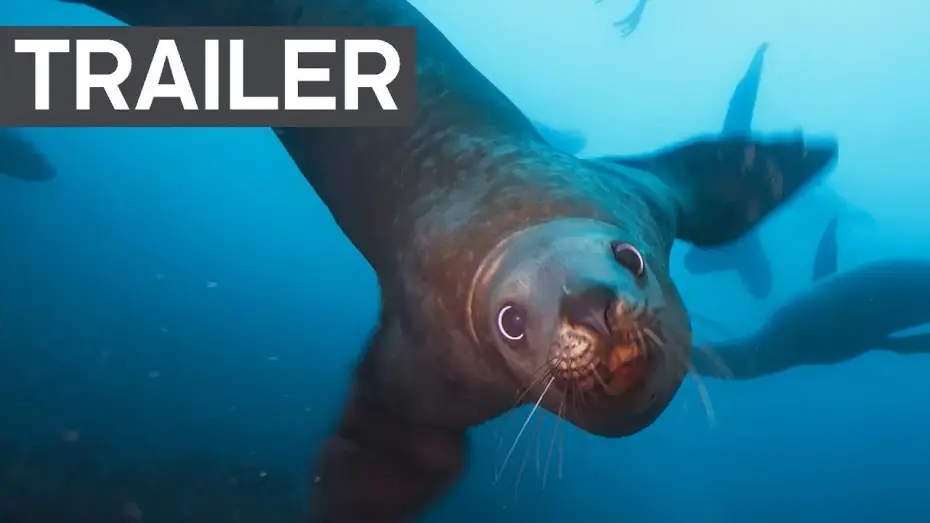 Видео к сериалу Планета Земля 2 — Blue Planet II Official Trailer 2 | BBC Earth