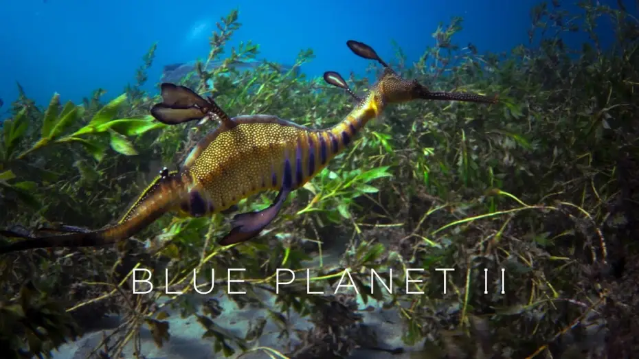 Видео к сериалу Голубая планета 2 — Blue Planet II: Official Trailer