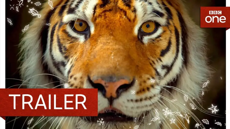 Видео к сериалу Большие кошки — Big Cats: Trailer - BBC One