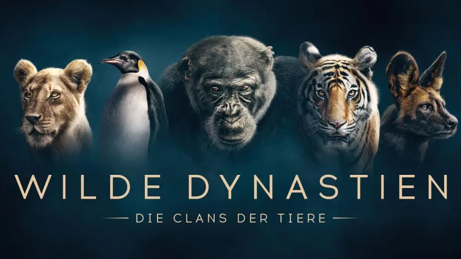 Видео к сериалу Династии — WILDE DYNASTIEN - Die Clans der Tiere - Trailer [HD] Deutsch / German