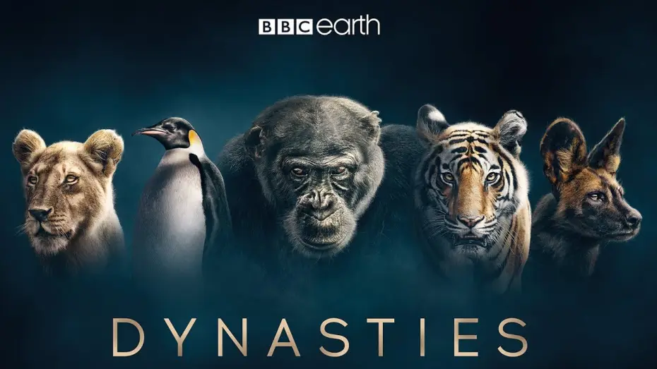 Видео к сериалу Династии — Dynasties: First Look Trailer | New David Attenborough Series | BBC Earth