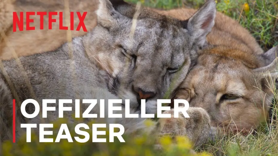 Видео к сериалу Наша планета — Offizieller Teaser