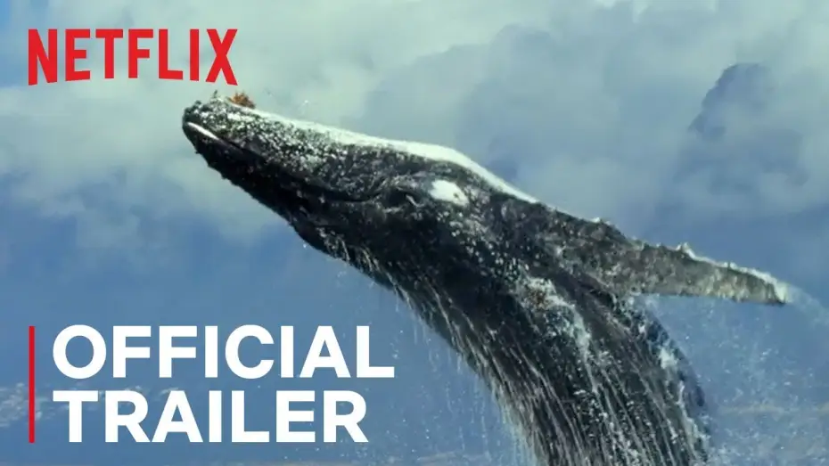 Видео к сериалу Наша планета — Our Planet | Official Trailer [HD] | Netflix