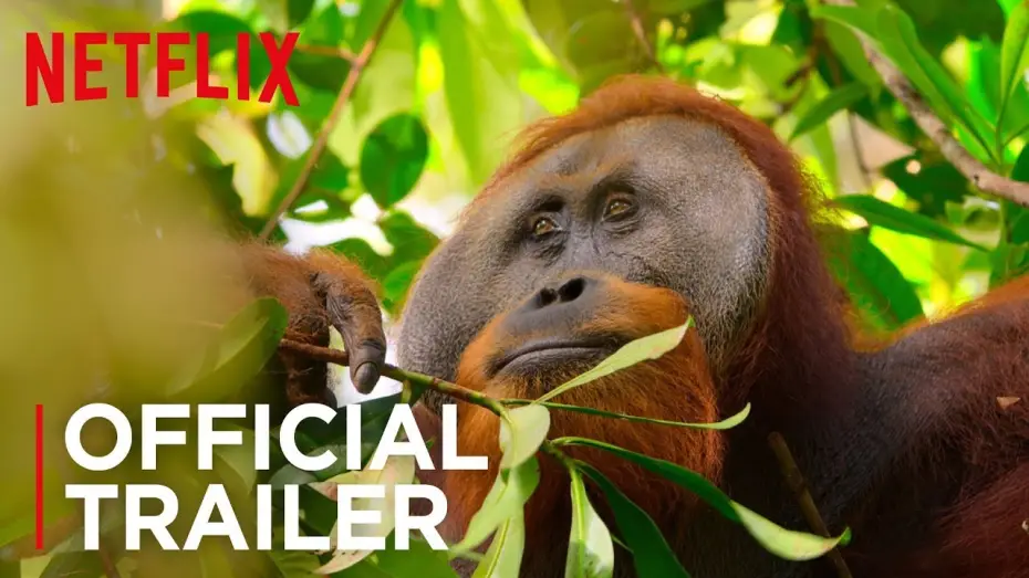 Видео к сериалу Наша планета — Our Planet | Official Teaser [HD] | Netflix