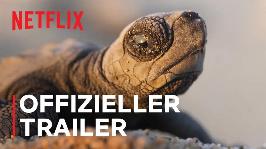 Видео к сериалу Наша планета — Offizieller Trailer