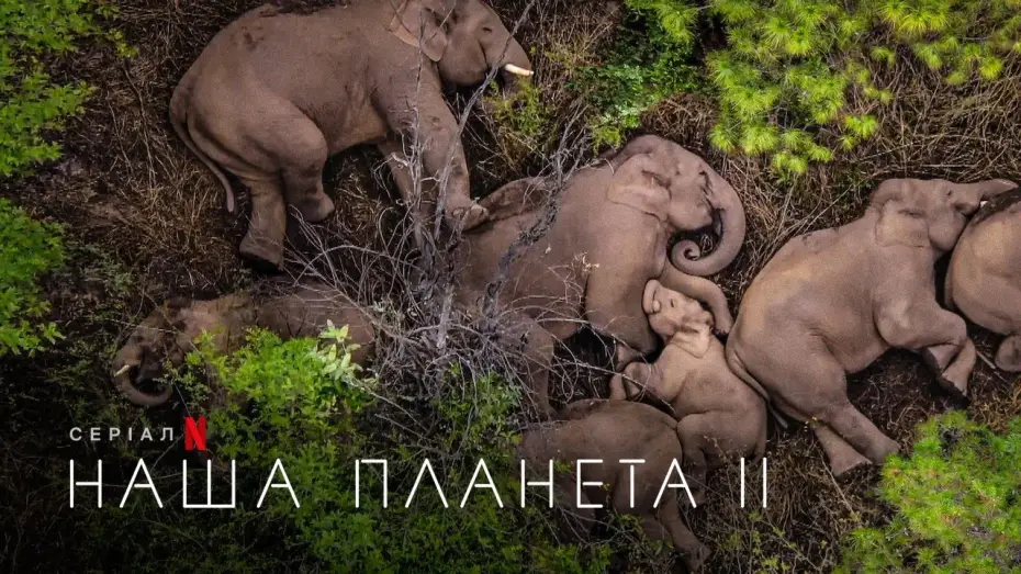 Видео к сериалу Наша планета — Наша планета II | Офіційний український трейлер | Netflix