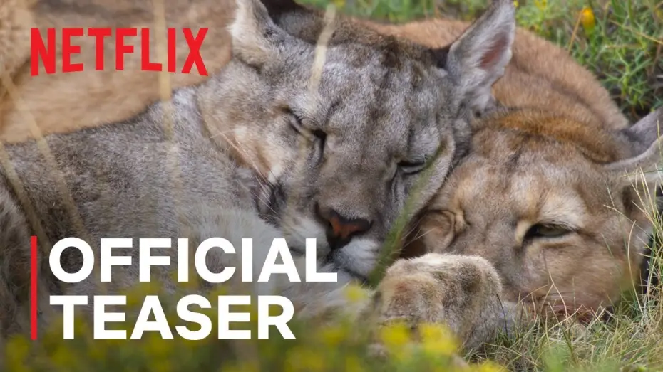 Видео к сериалу Наша планета — Our Planet II Official Teaser