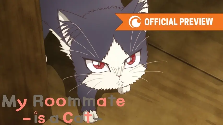 Видео к сериалу Домашний питомец, иногда сидящий на моей голове — My Roommate is a Cat | OFFICIAL PREVIEW