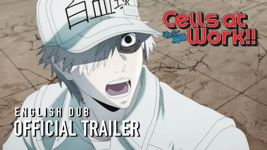 Видео к сериалу Клетки за работой! — Cells at Work!! English Dub Trailer