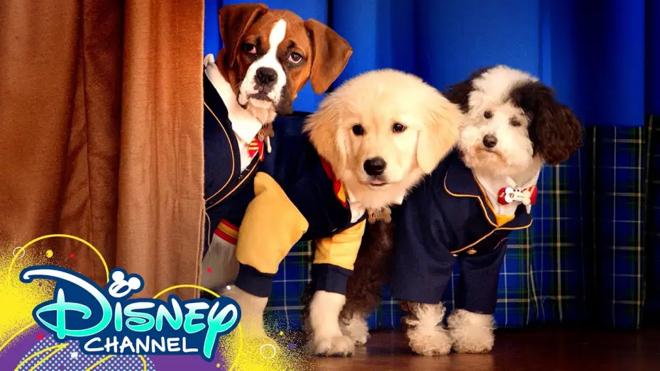 Видео к сериалу Собачья школа — Theme Song 🎶 ft. Dakota Lotus | Pup Academy | Disney Channel