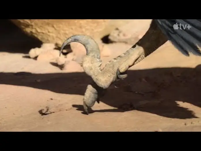 Видео к сериалу Доисторическая планета — Prehistoric Planet (MAGNIFICENT) - Trailer en Español