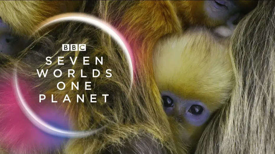 Видео к сериалу Семь миров, одна планета — Seven Worlds, One Planet: Extended Trailer (ft Sia and Hans Zimmer) | New David Attenborough Series