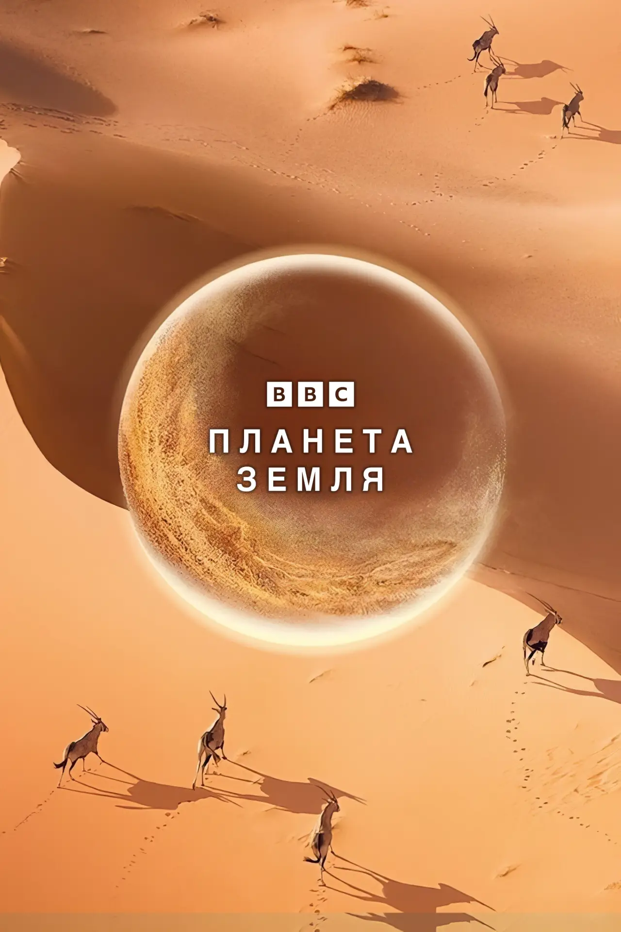 Постер к сериалу "Планета Земля"