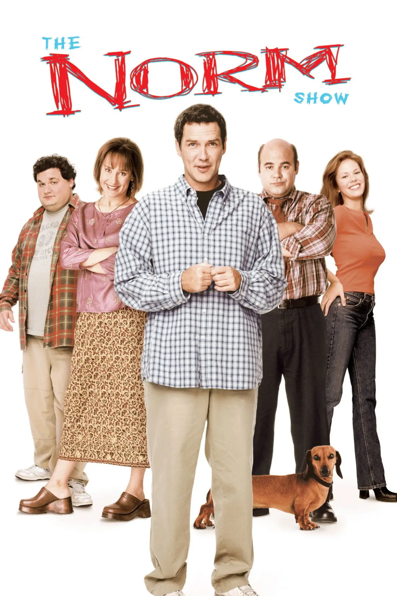 Постер к сериалу "The Norm Show"