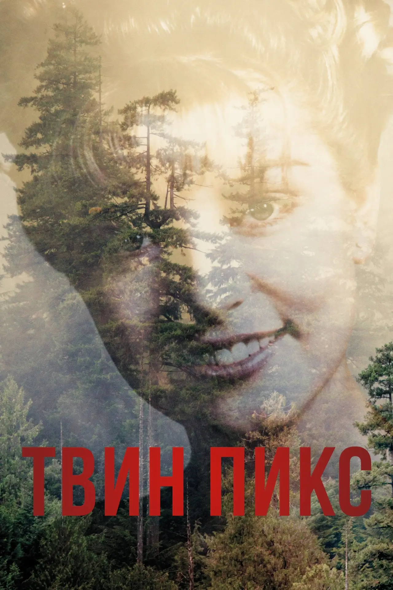 Постер к сериалу "Твин Пикс"