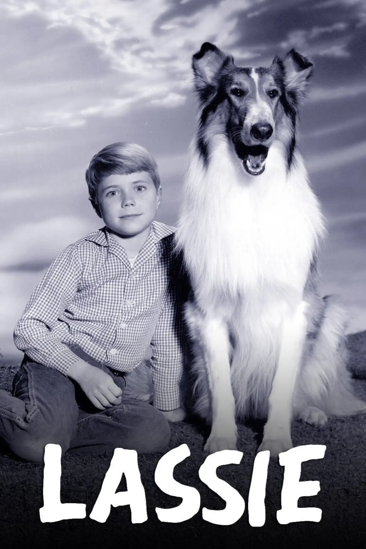 Постер к сериалу "Лесси"