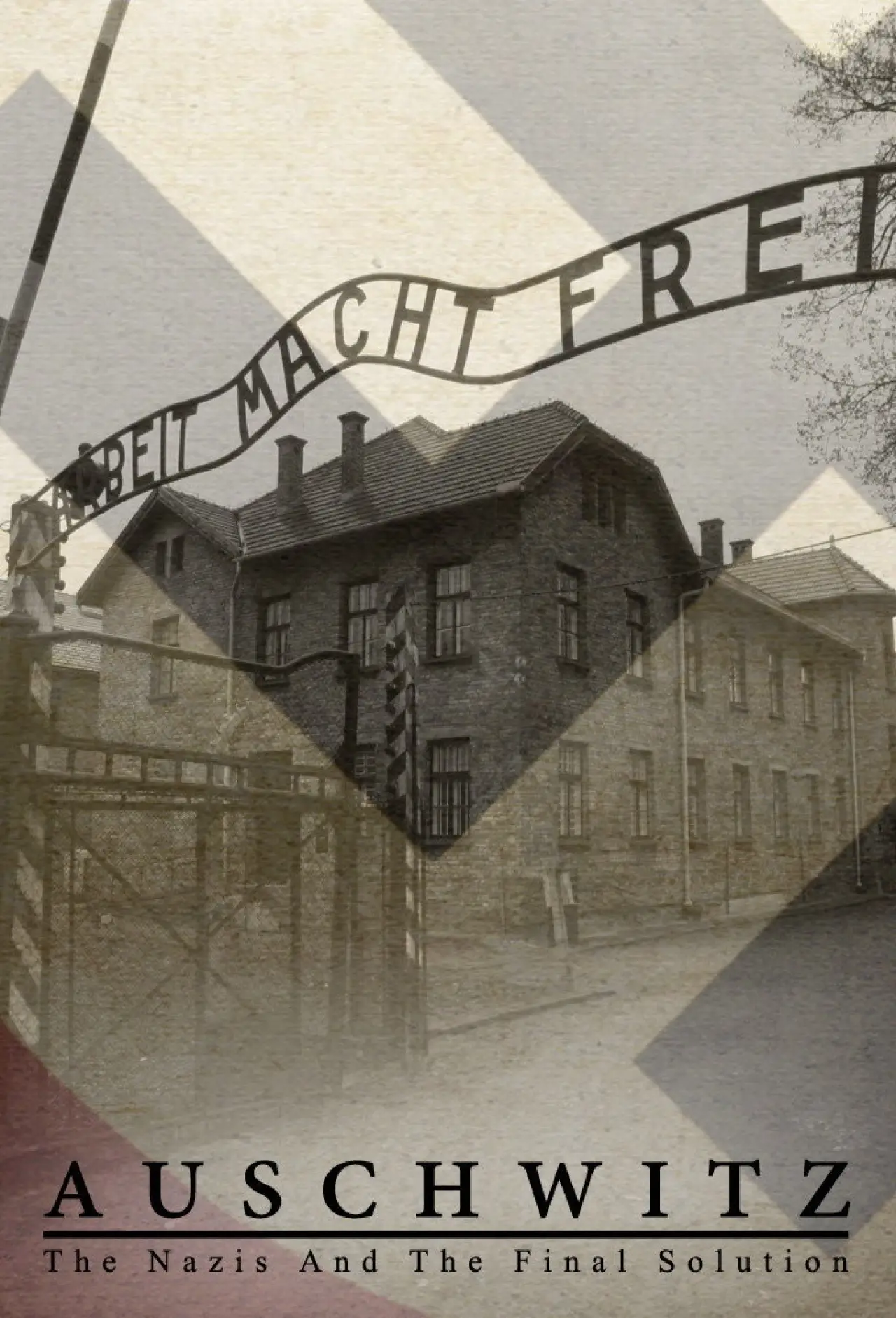 Постер к сериалу "Освенцим: Нацисты и «Последнее решение»"