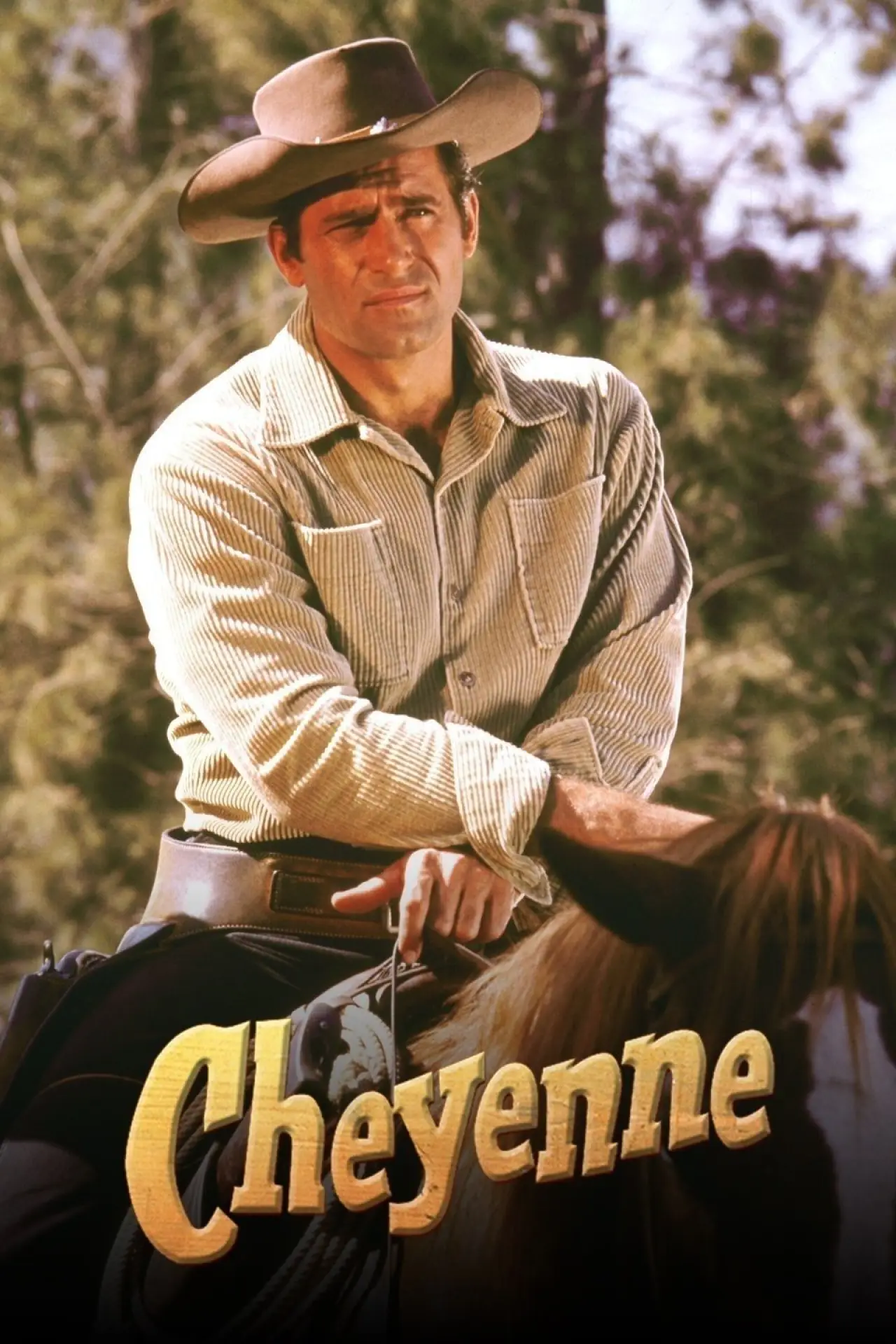 Постер к сериалу "Шайенн"