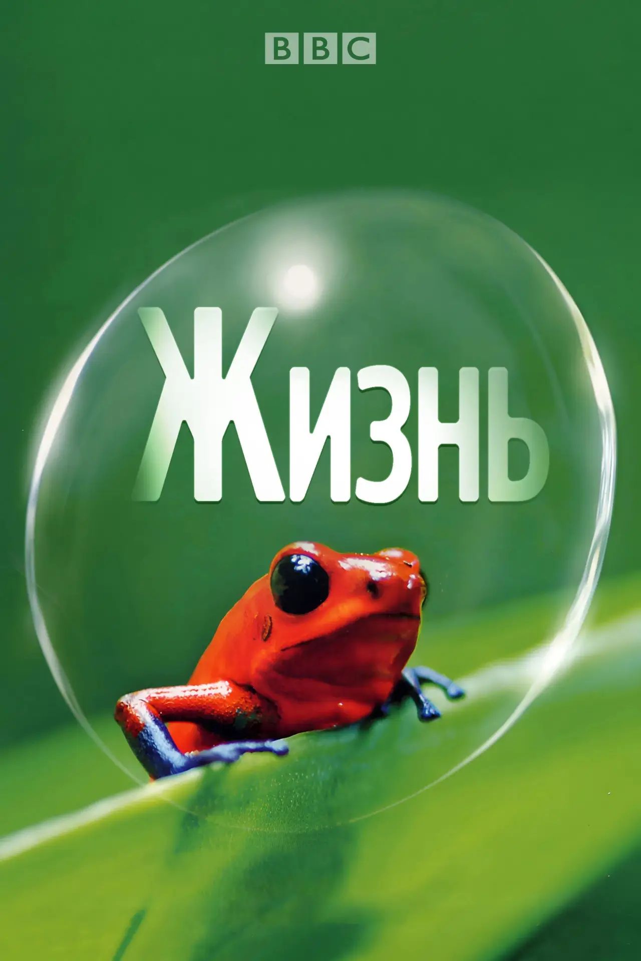 Постер к сериалу "Жизнь"