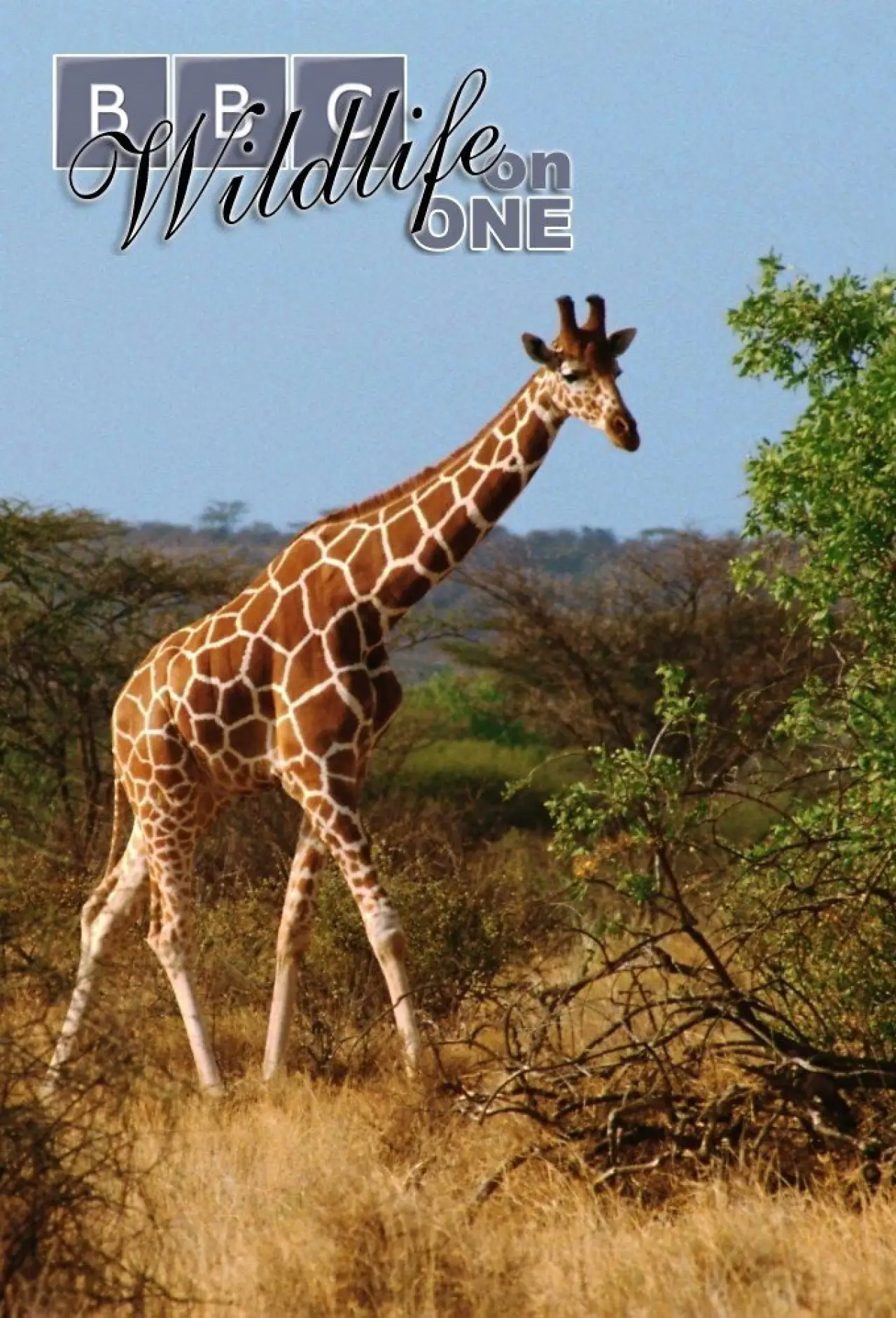 Постер к сериалу "Wildlife on One"