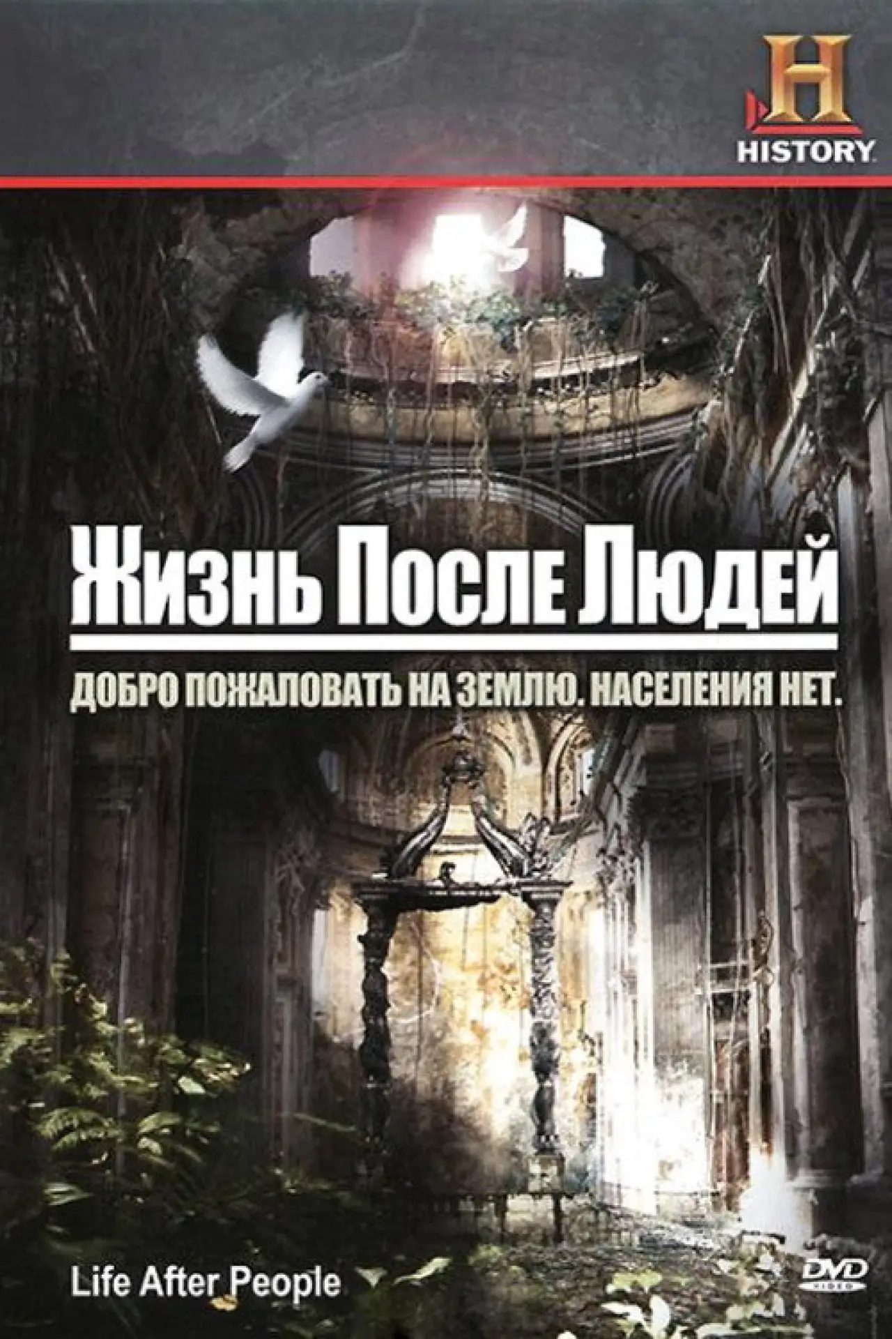 Постер к сериалу "Жизнь после людей"