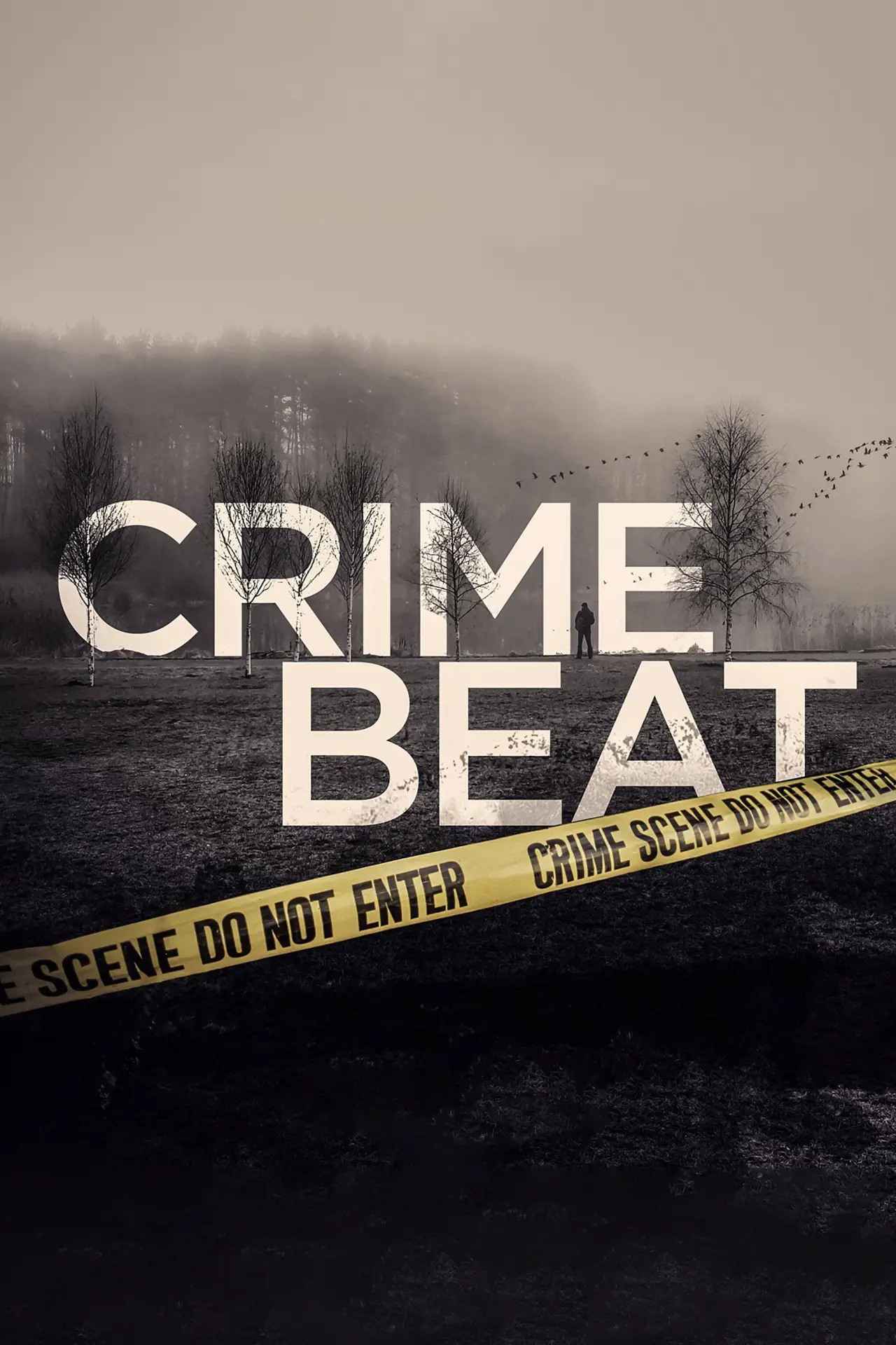 Постер к сериалу "Crime Beat"