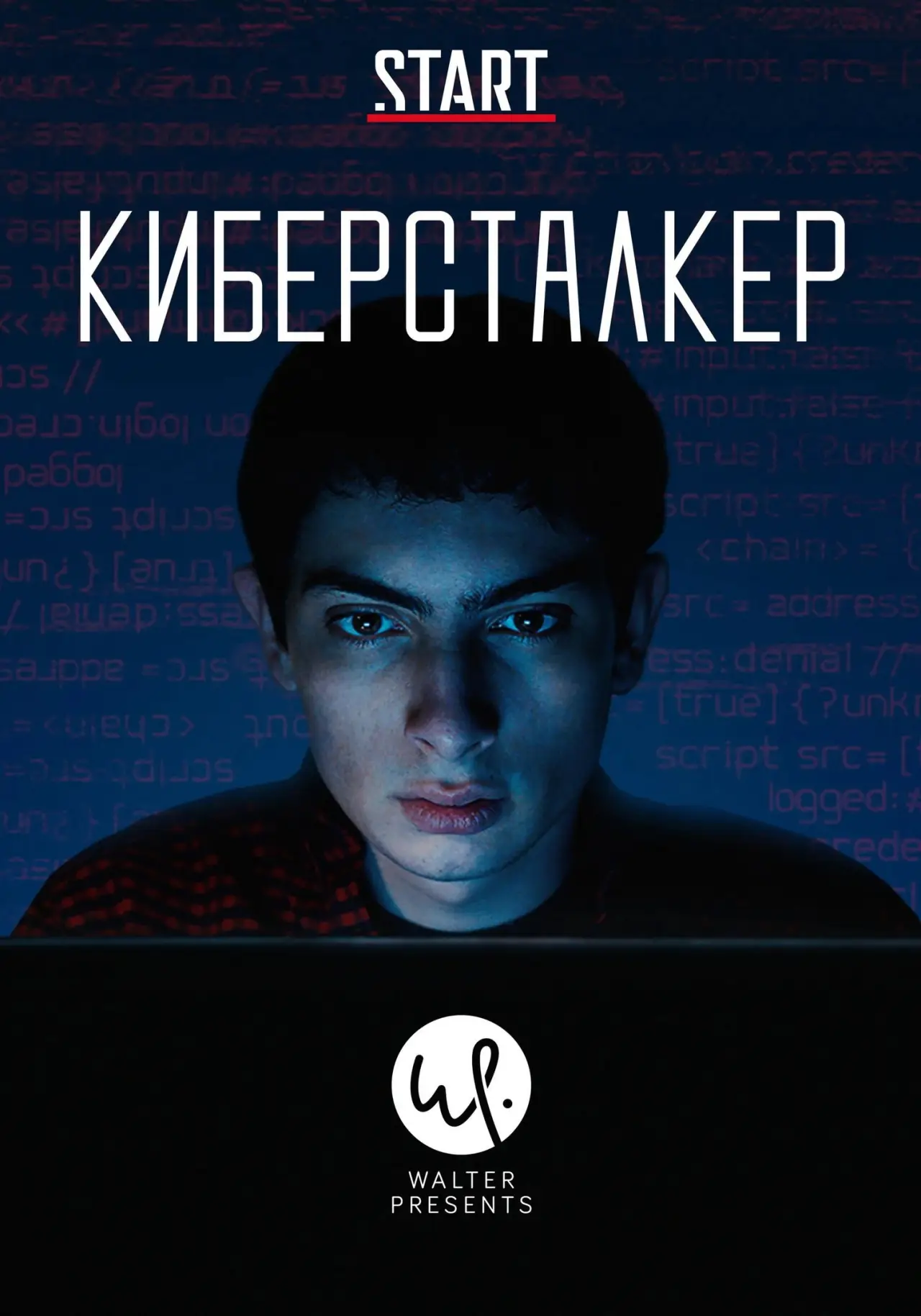 Постер к сериалу "Киберсталкер"