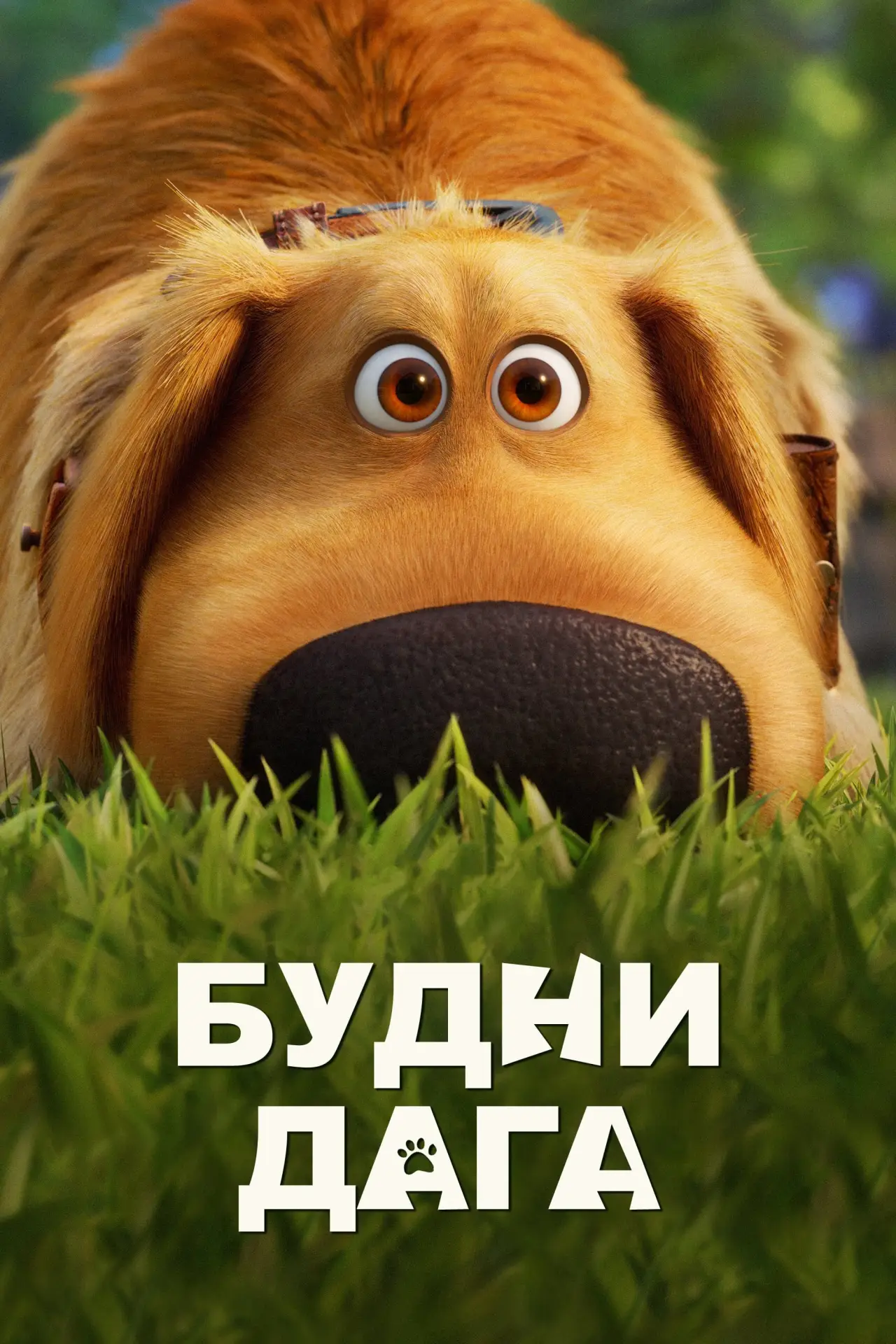 Постер к сериалу "Будни Дага"