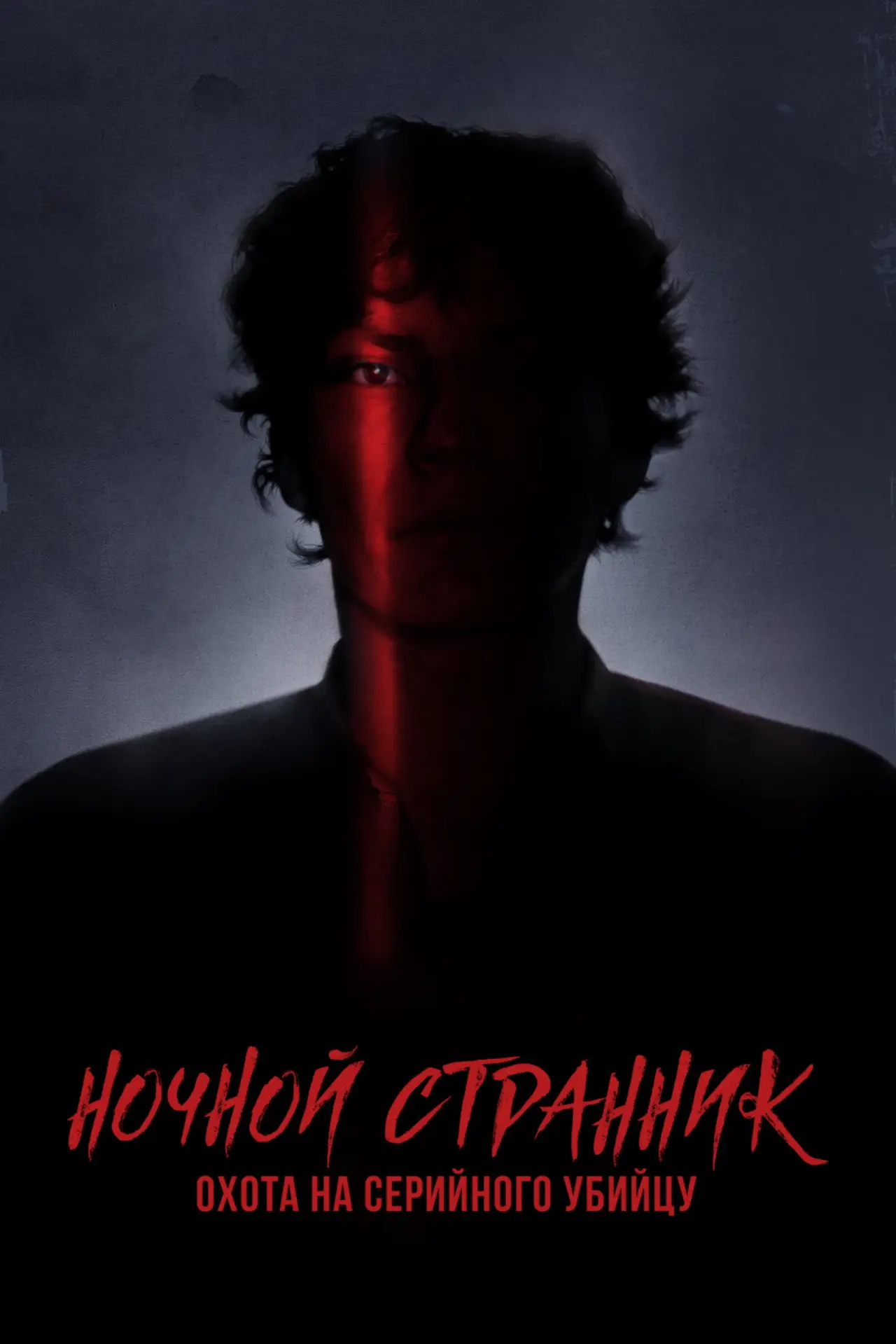 Постер к сериалу "Ночной Странник. Охота на серийного убийцу"