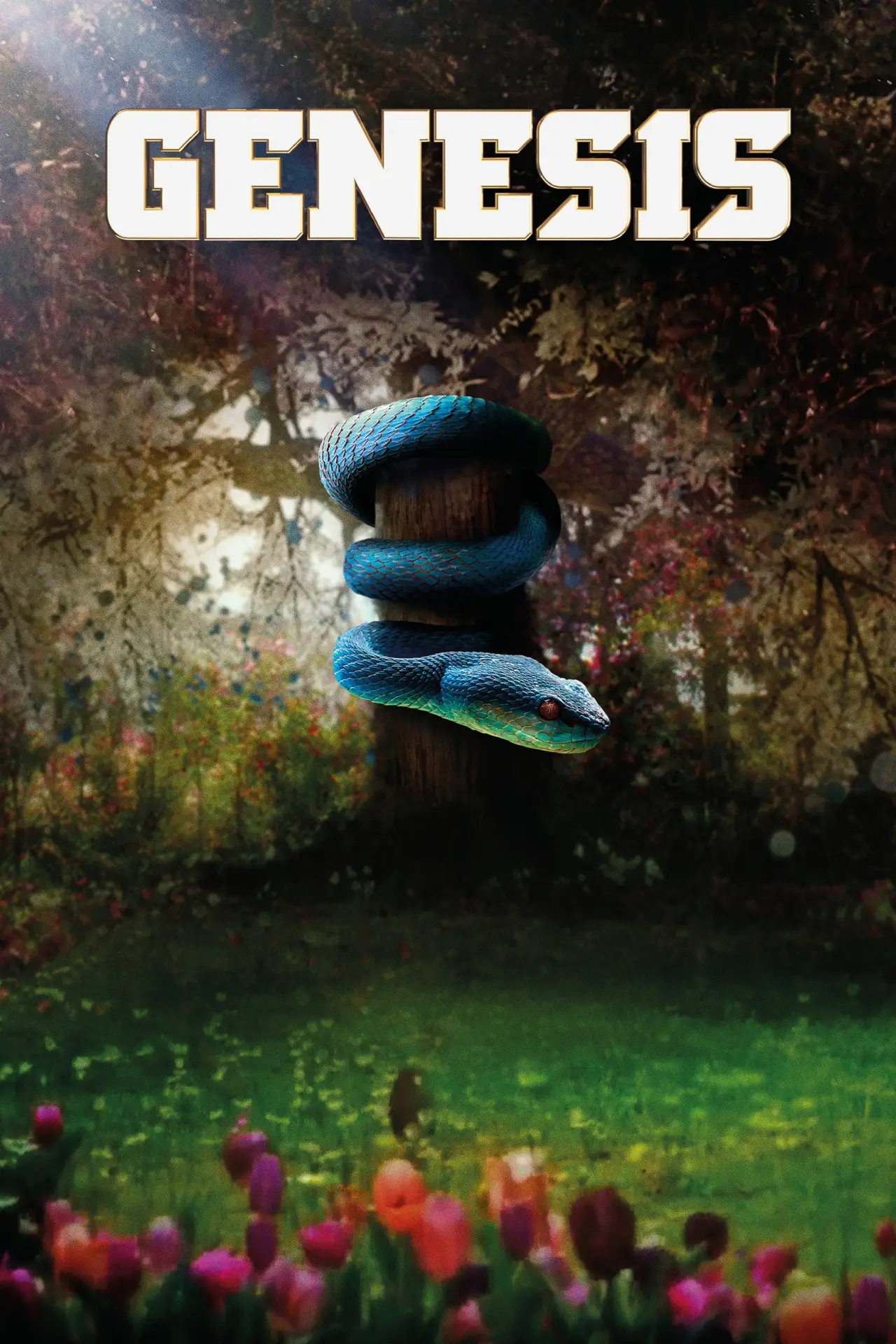 Постер к сериалу "Генезис"