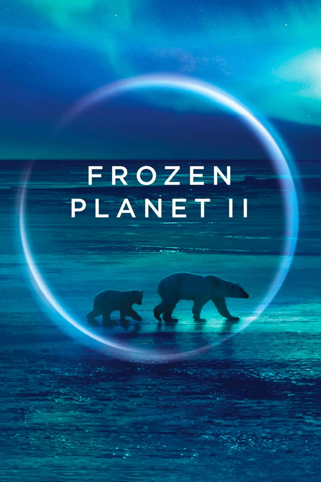 Постер к сериалу "BBC: Замерзшая планета 2"