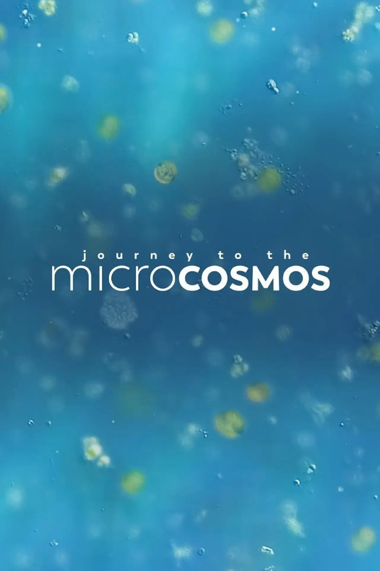Постер к сериалу "Journey to the Microcosmos"