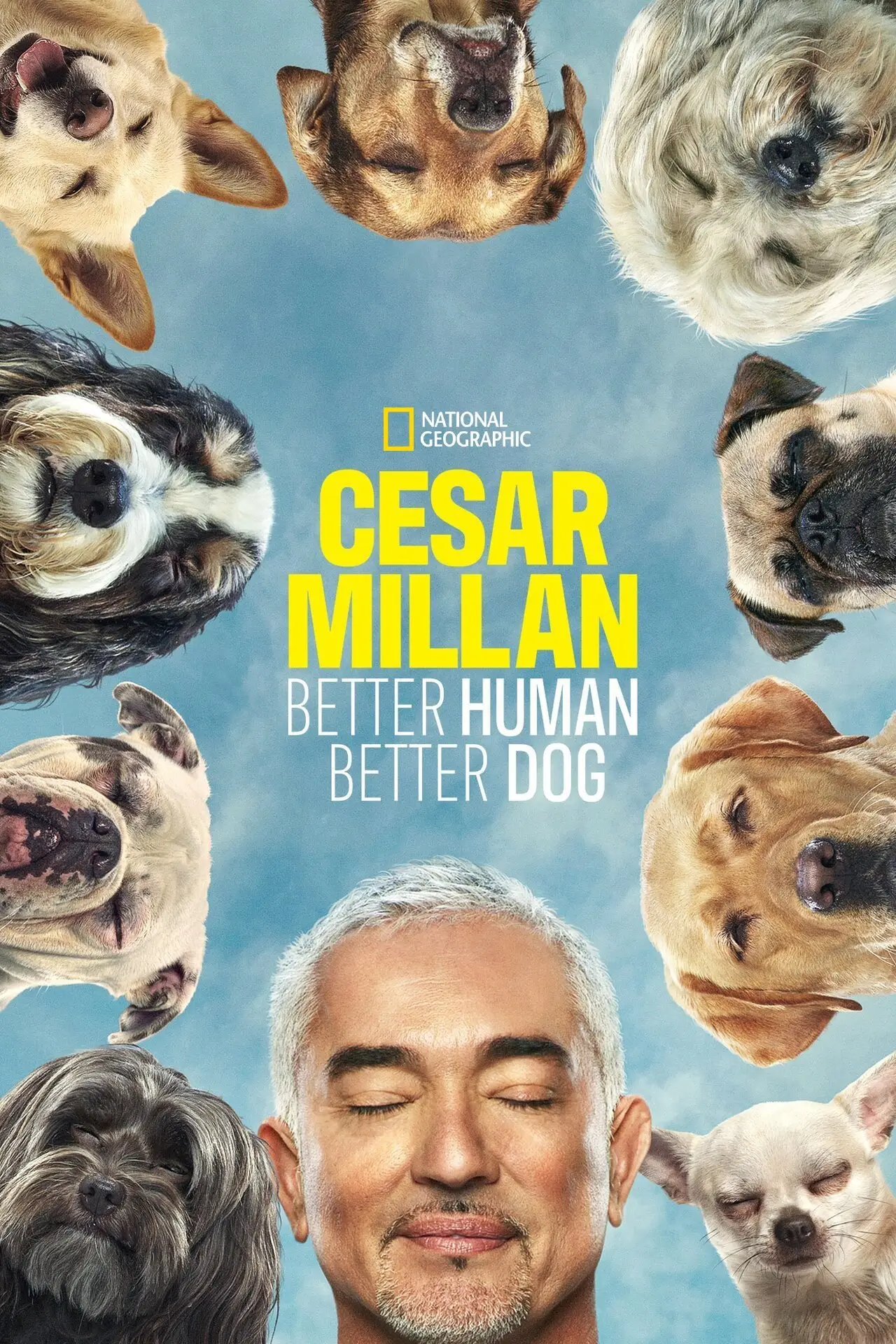 Постер к сериалу "Cesar Millan: Better Human, Better Dog"