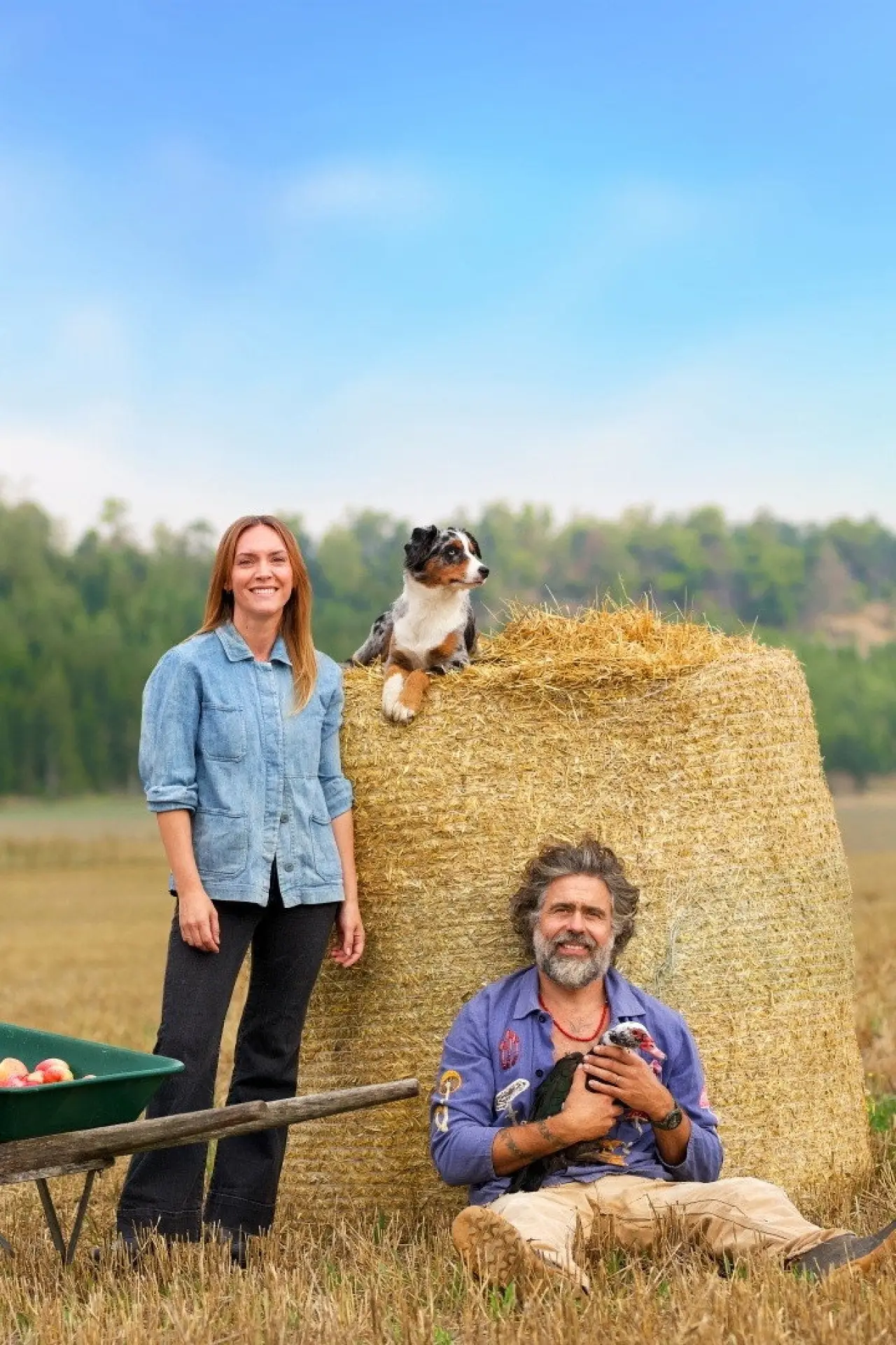 Постер к сериалу "Hjälp, vi har köpt en bondgård!"