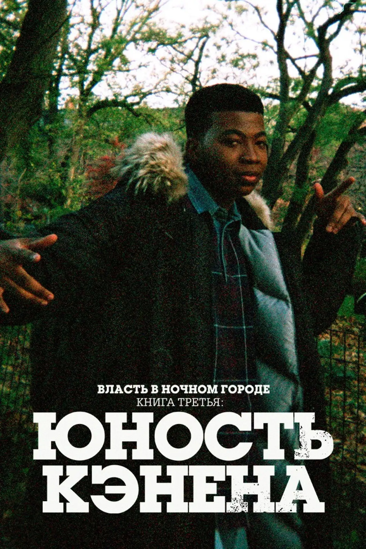 Постер к сериалу "Власть в ночном городе. Книга третья: юность Кэнена"