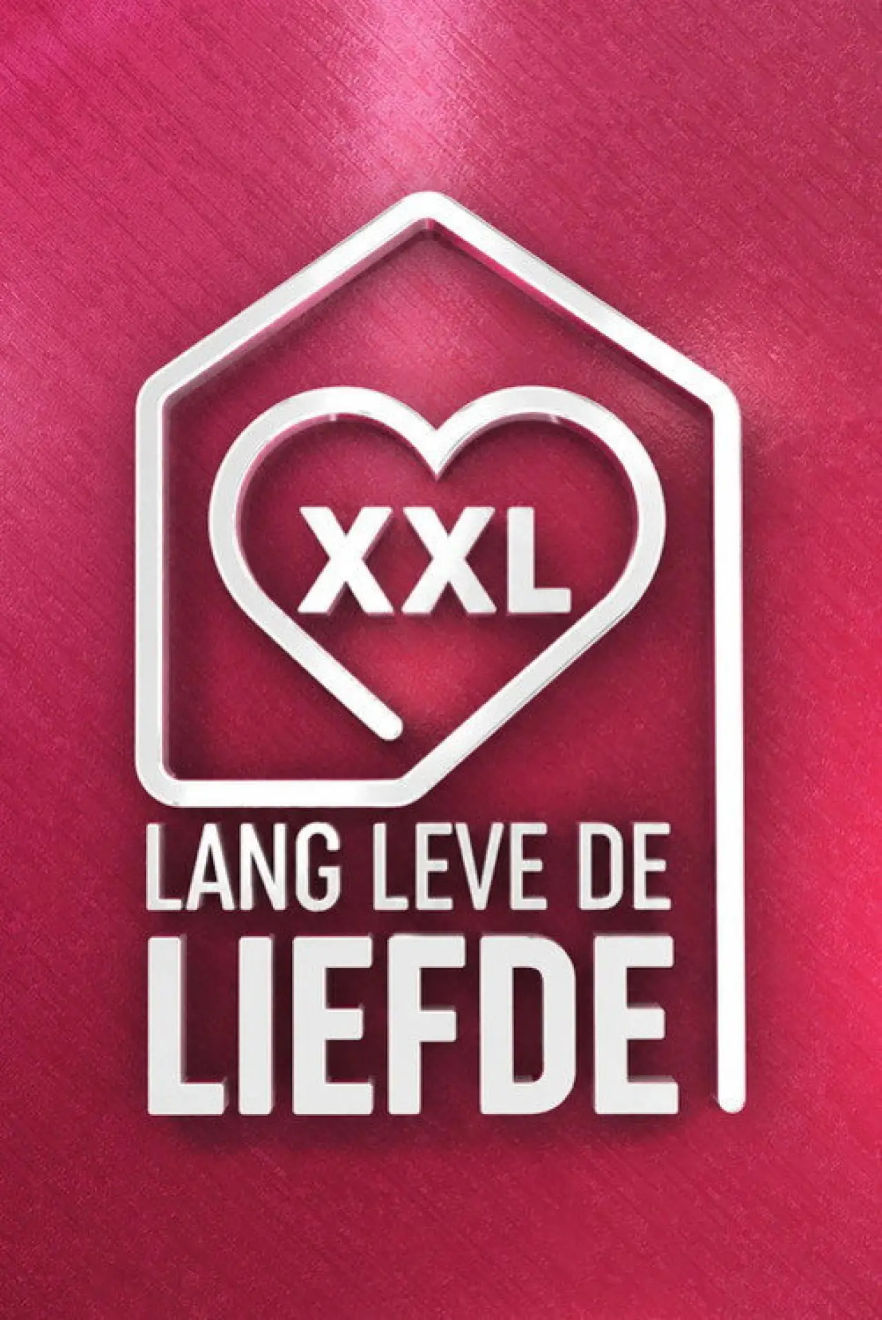 Постер к сериалу "Lang Leve de Liefde"