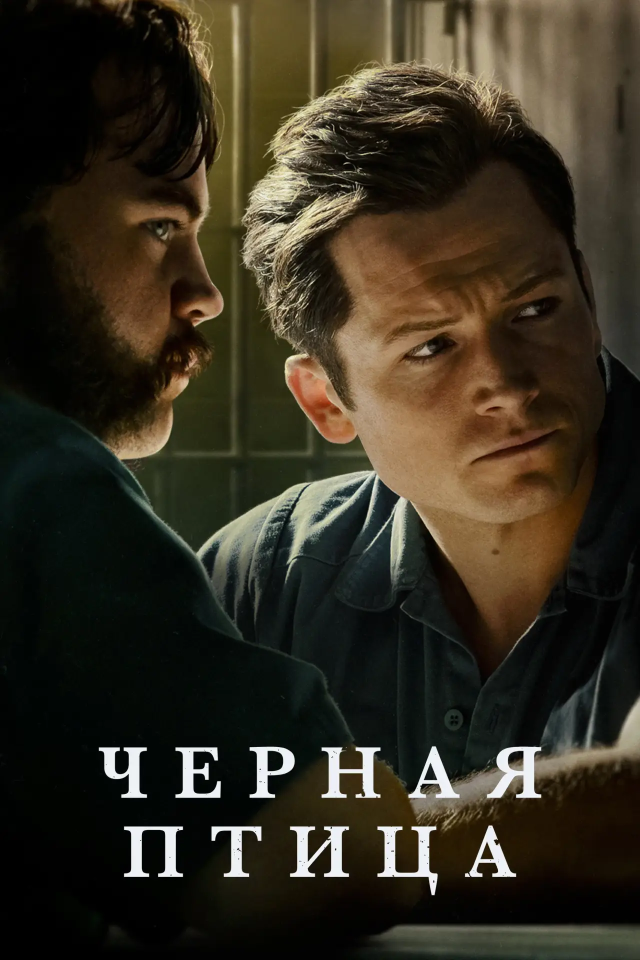 Постер к сериалу "Черная птица"