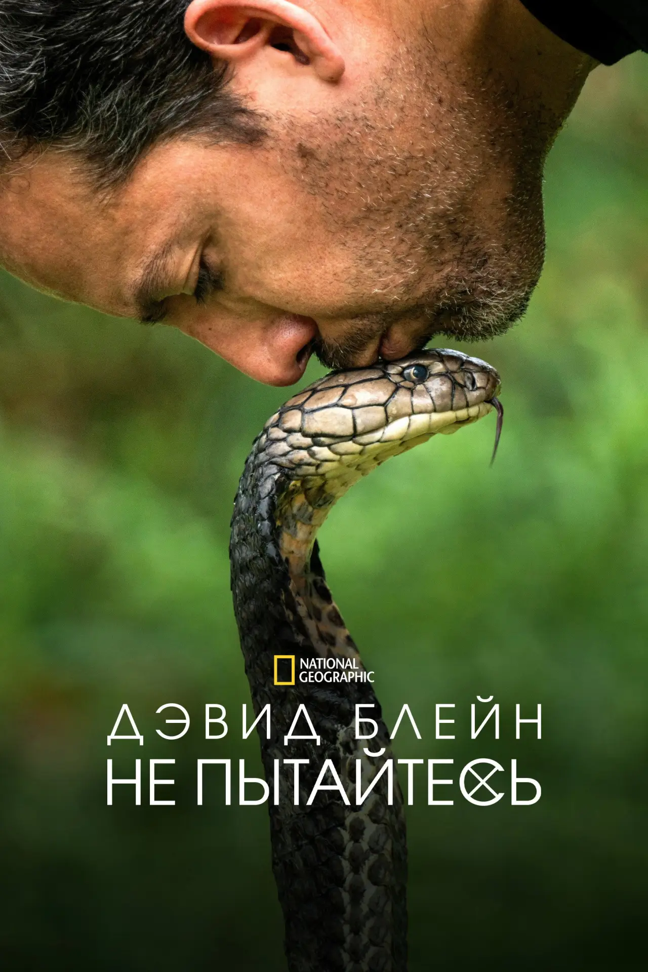 Постер к сериалу "Дэвид Блейн: Не пытайтесь повторить"