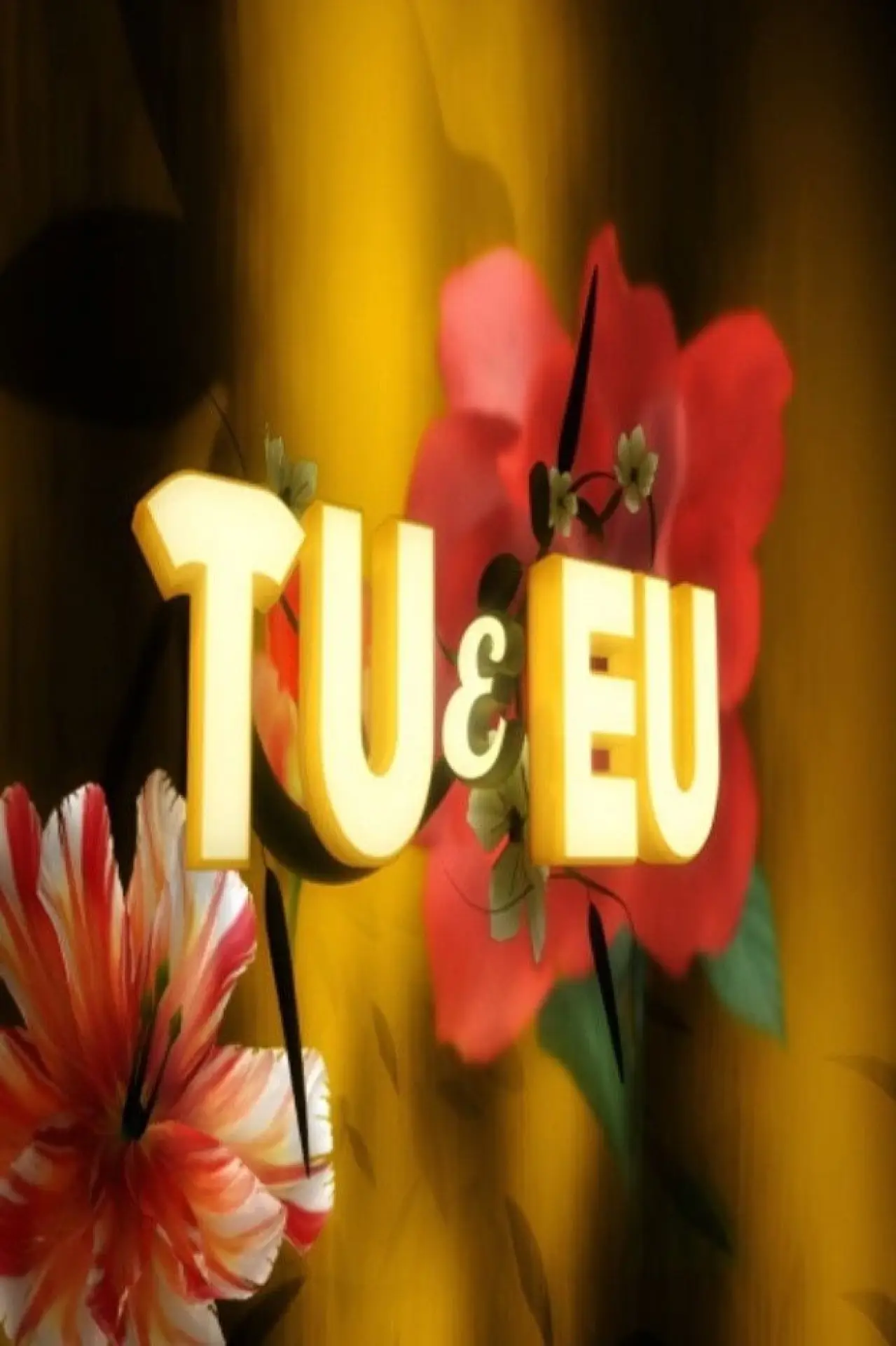 Постер к сериалу "Tu e Eu"