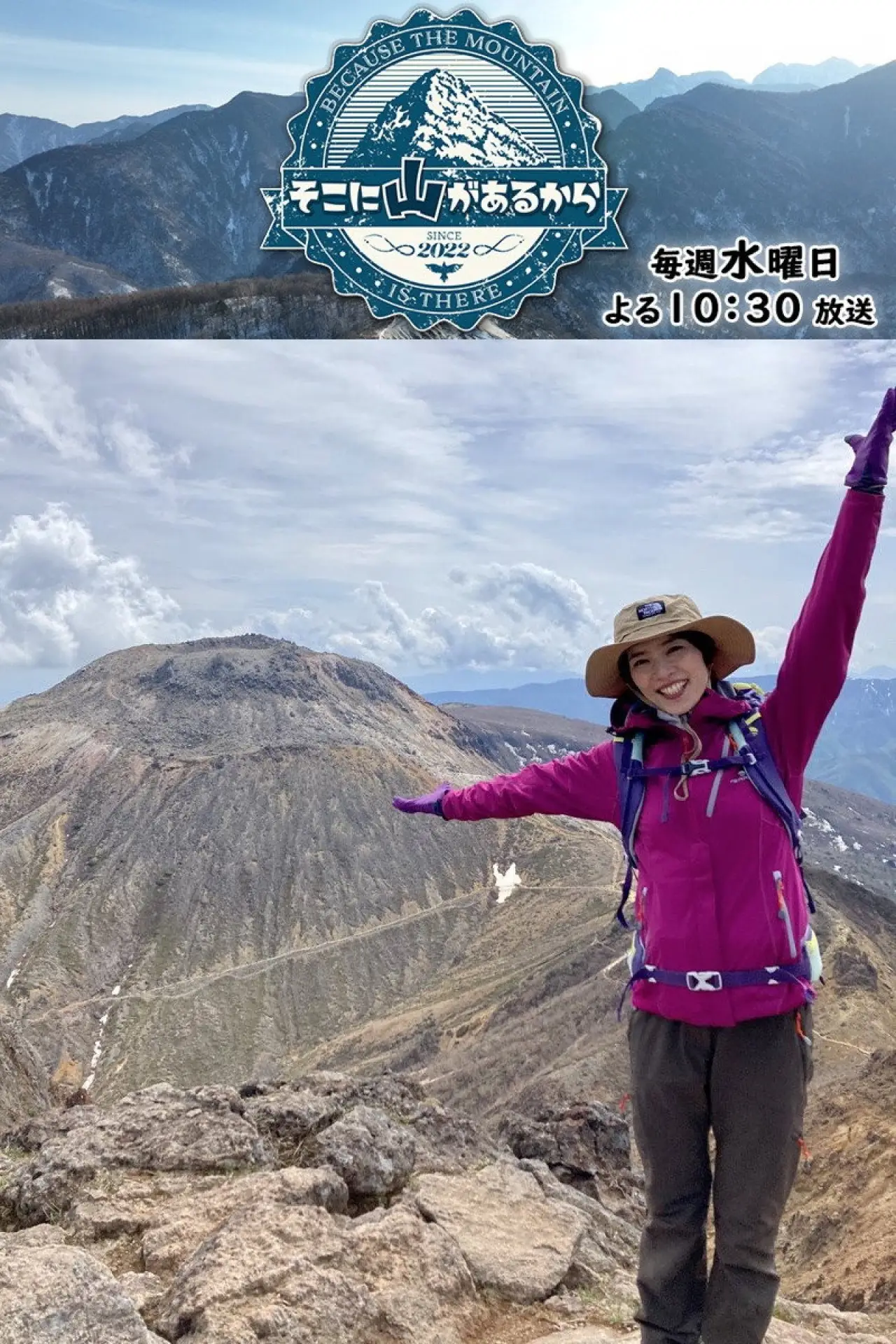 Постер к сериалу "そこに山があるから"