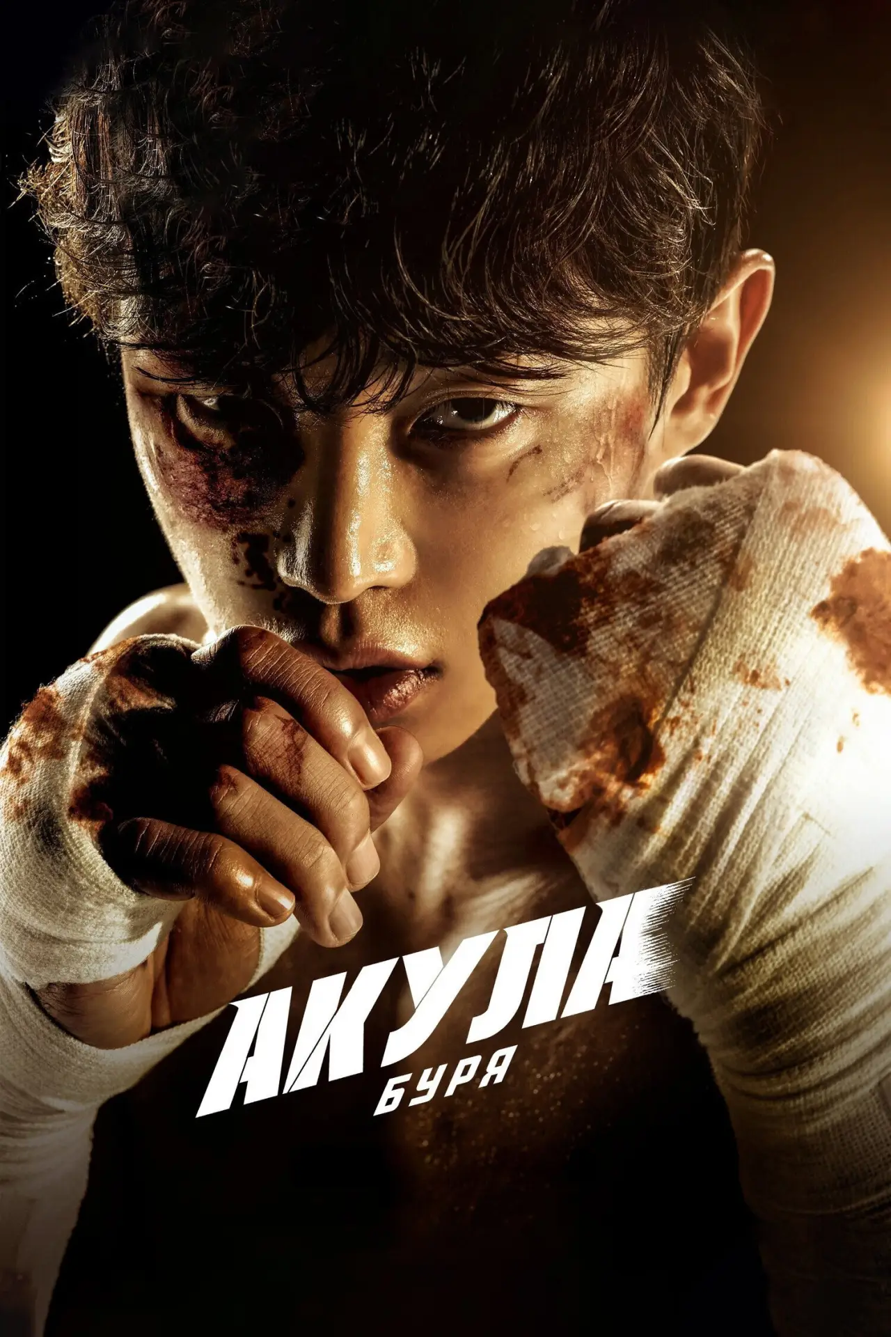 Постер к сериалу "Акула: Буря"