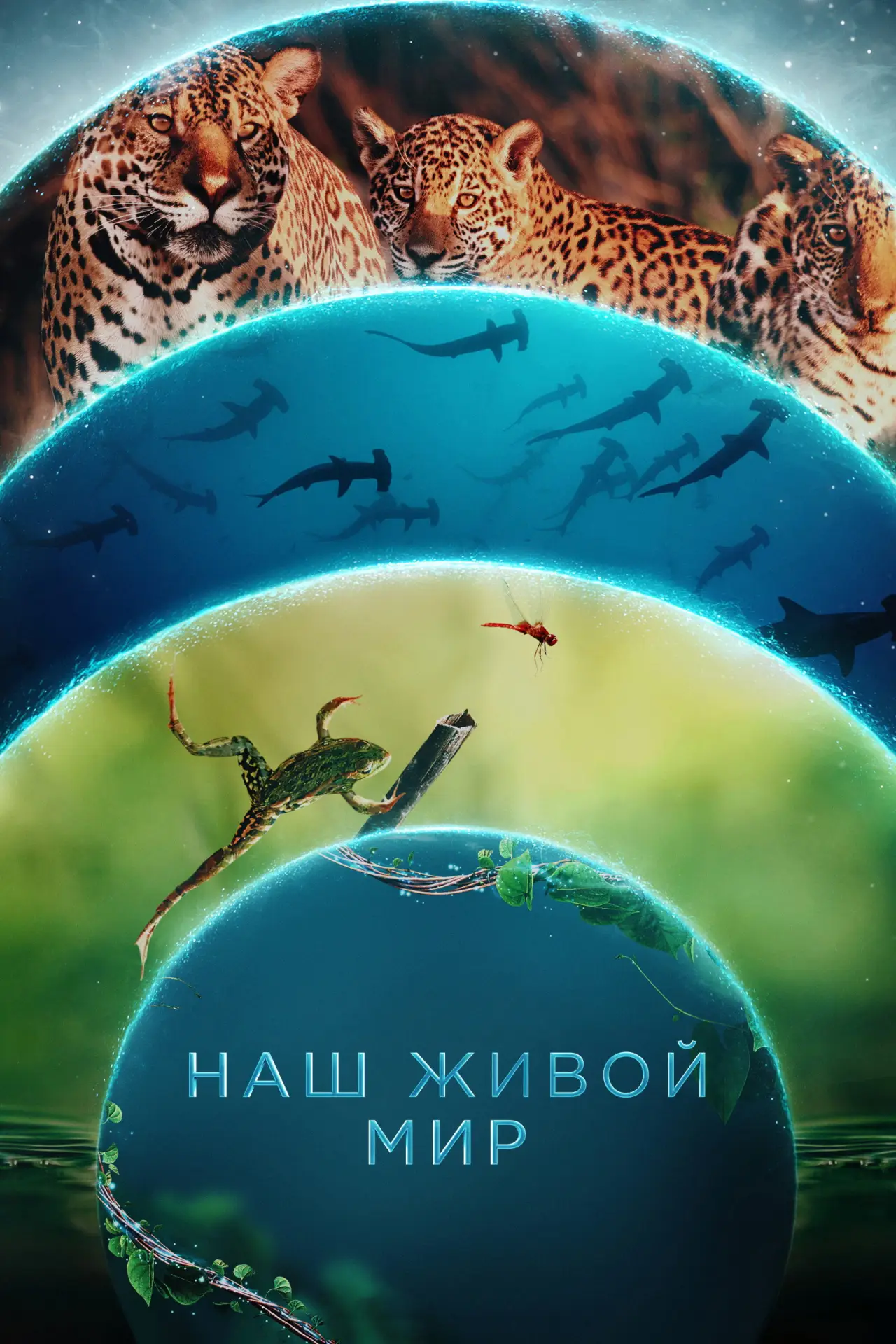 Постер к сериалу "Наш живой мир"