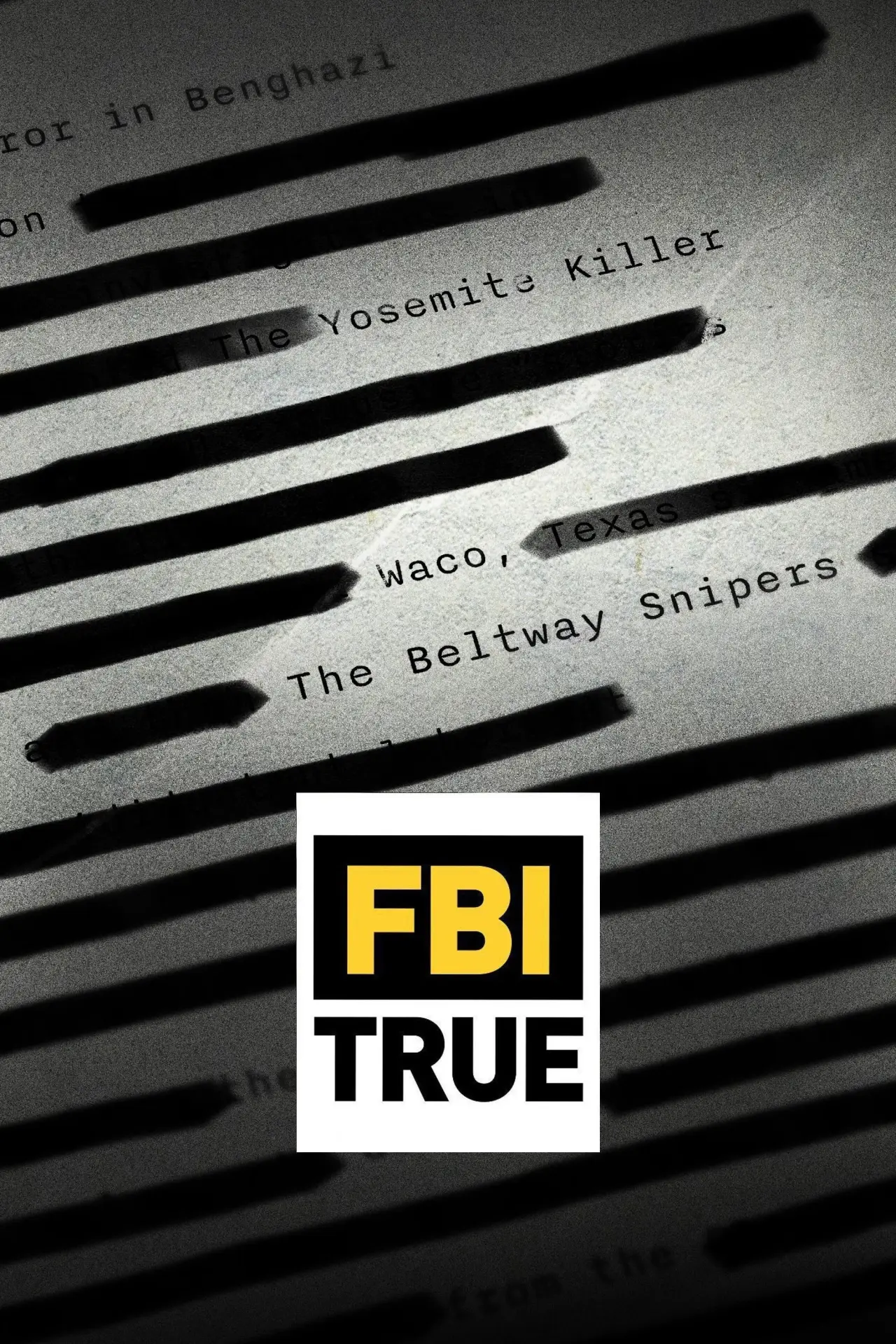 Постер к сериалу "ФБР: ИСТИНА"