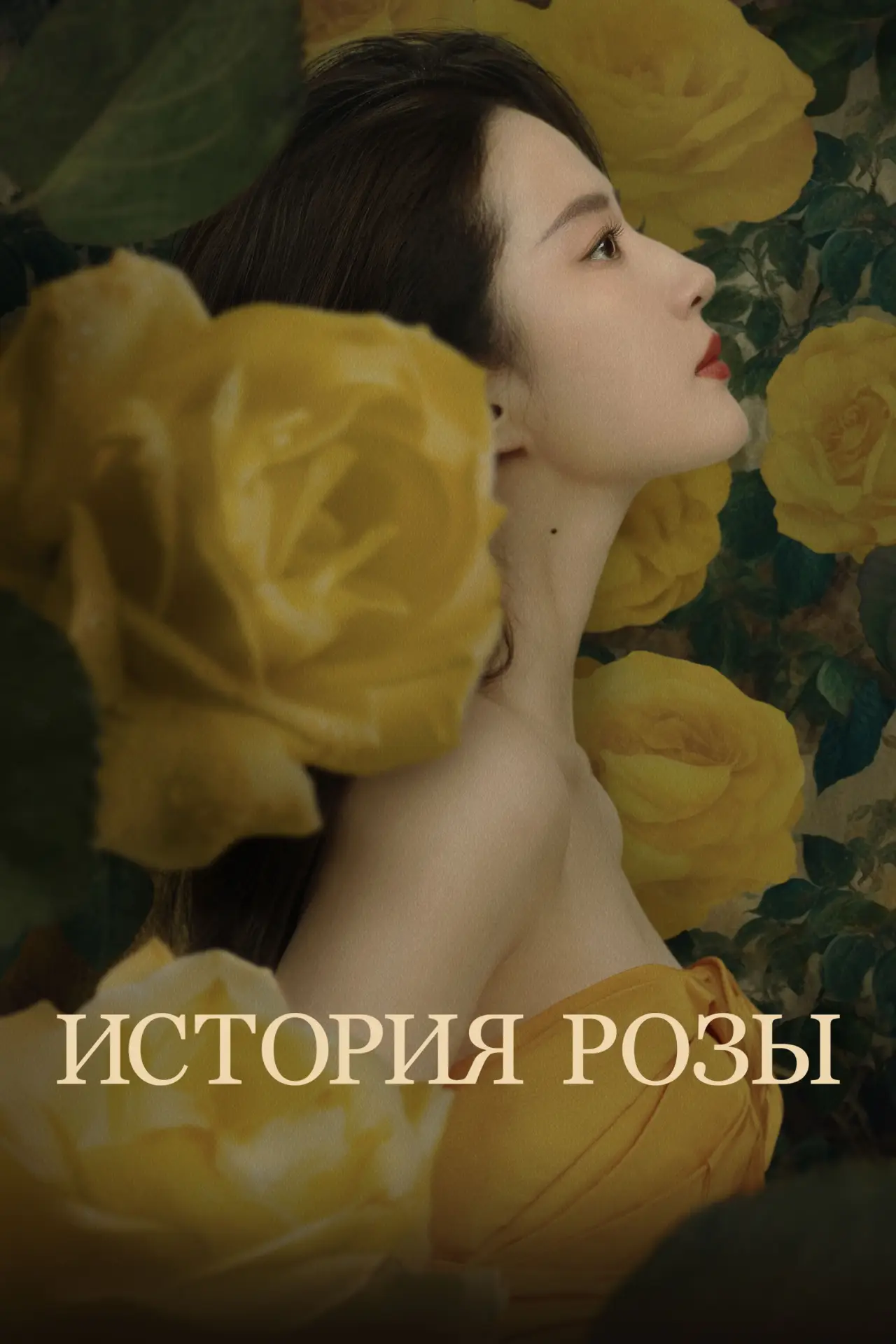 Постер к сериалу "История Розы"