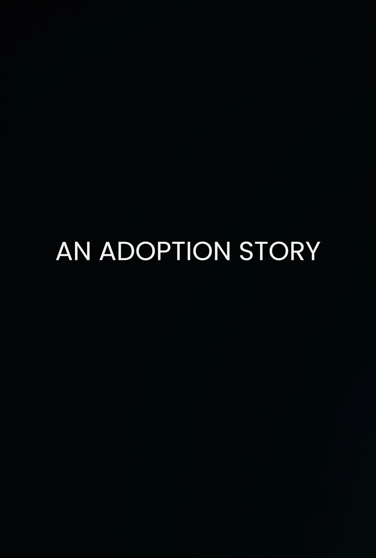 Постер к сериалу "История об усыновлении"