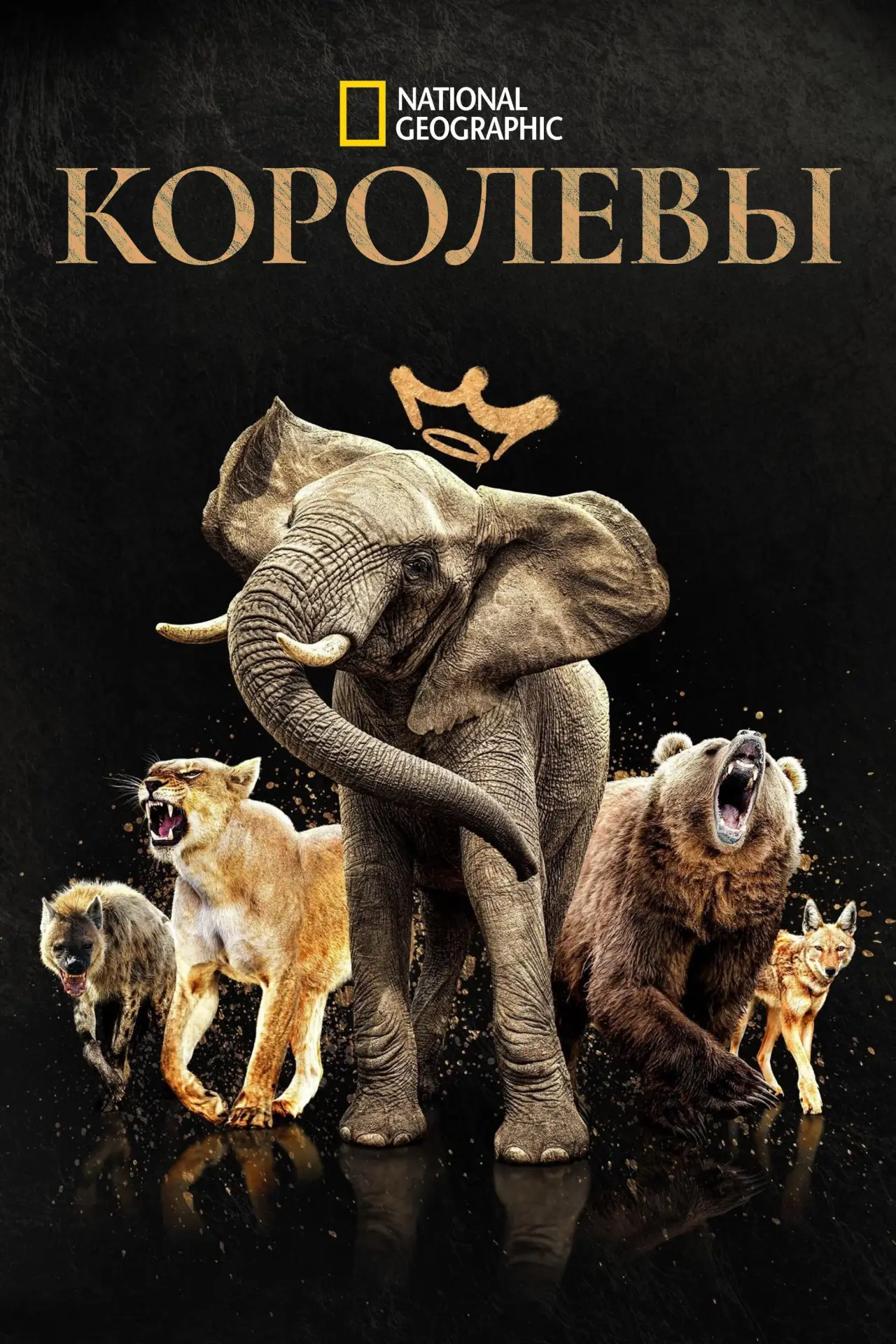 Постер к сериалу "Королевы"